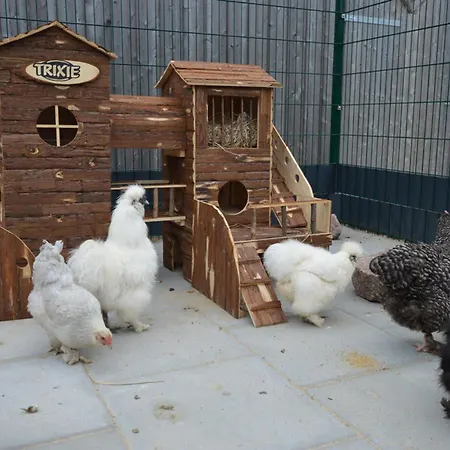 Reetdachhaus 4, Inkl 2 Parkplaetze *