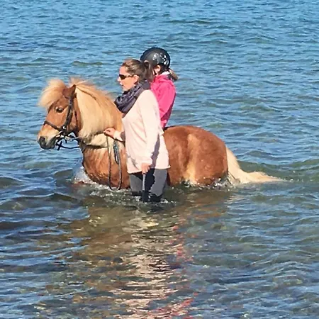 Reetdachhaus 4, Inkl 2 Parkplaetze Фемарн