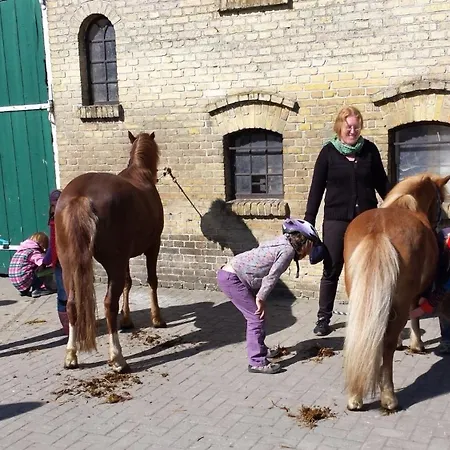 Reetdachhaus 4, Inkl 2 Parkplaetze 펜션