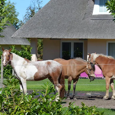 Reetdachhaus 4, Inkl 2 Parkplaetze *