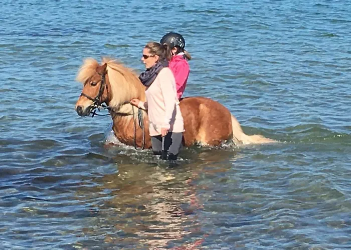 Reetdachhaus 4, Inkl 2 Parkplaetze Fehmarn