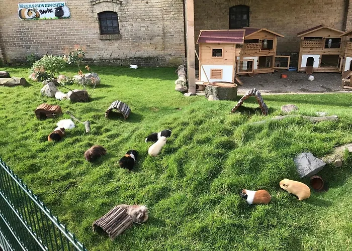 Reetdachhaus 4, Inkl 2 Parkplaetze *