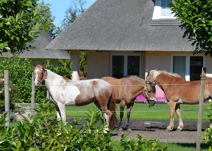 Reetdachhaus 4, Inkl 2 Parkplaetze *